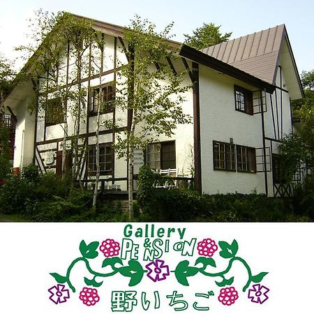 Gallery & Lodge Noichigo Hakuba Zewnętrze zdjęcie