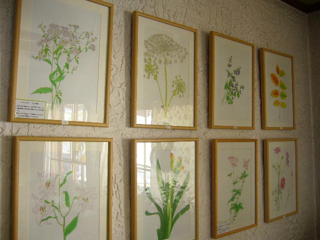 Gallery & Lodge Noichigo Hakuba Zewnętrze zdjęcie
